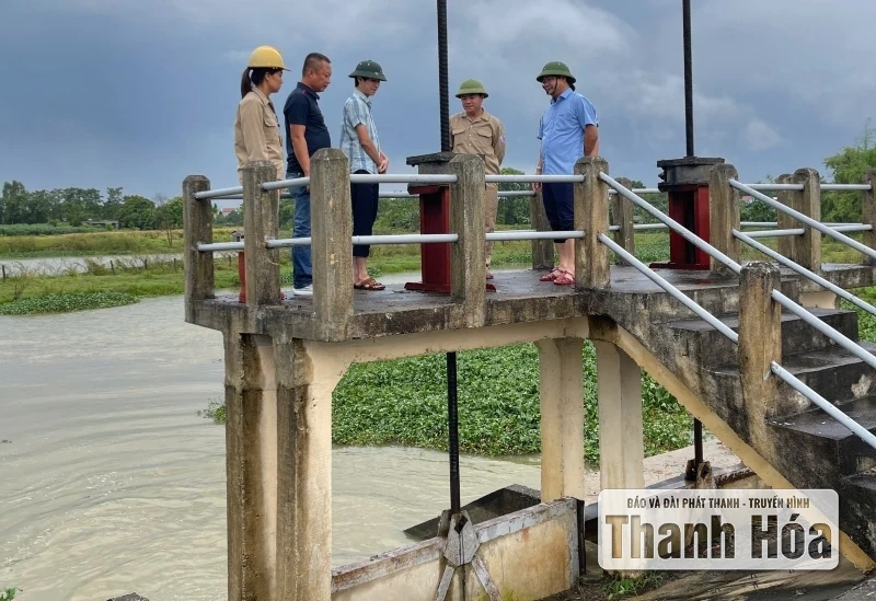 Vận hành 60 trạm bơm tiêu úng bảo vệ sản xuất nông nghiệp