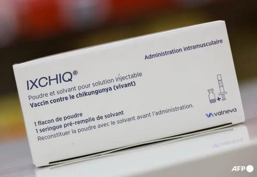 Mỹ đình chỉ ngay lập tức lưu hành vaccine Ixchiq phòng virus chikungunya