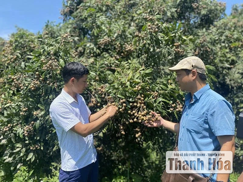 Thay đổi tư duy trồng cây ăn quả