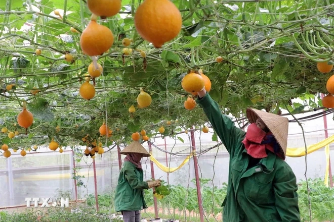 Xử lý khó khăn về điều chỉnh quy hoạch khi sắp xếp đơn vị hành chính