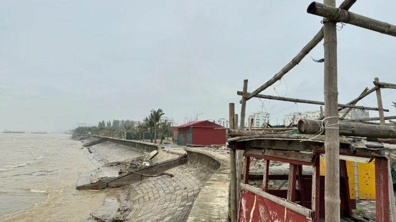 Bộ Nông nghiệp và Môi trường chỉ đạo ứng phó với áp thấp nhiệt đới trên Biển Đông