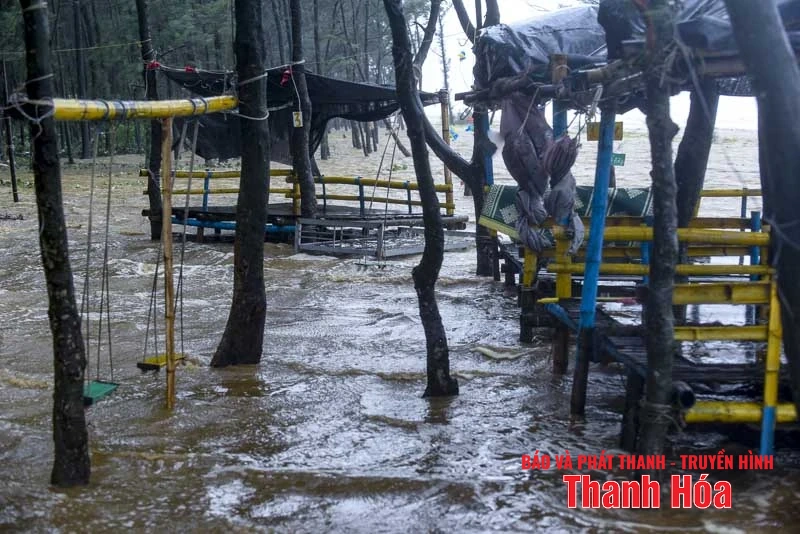 Sóng cao, cây gãy đổ hàng loạt do bão số 5