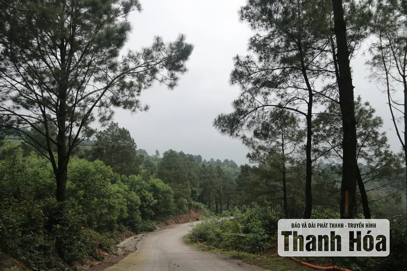 Dẫn lối về miền văn hóa - tâm linh