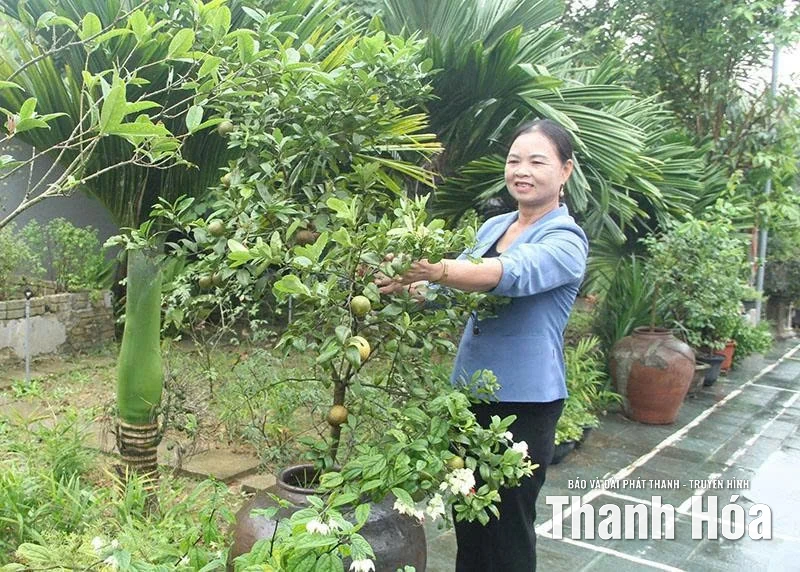 Duy trì vườn mẫu sinh thái ở thôn nông thôn mới kiểu mẫu