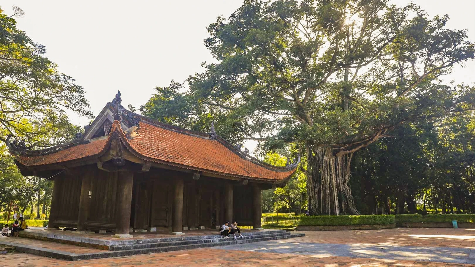 Bên phải sân rồng sừng sững cây đa thị cổ thụ, tán lá sum suê che mát cả một góc sân. Gốc cây xù xì, phải chục người vòng tay mới ôm trọn, thân cây như khoác trên mình màu áo của thời gian.