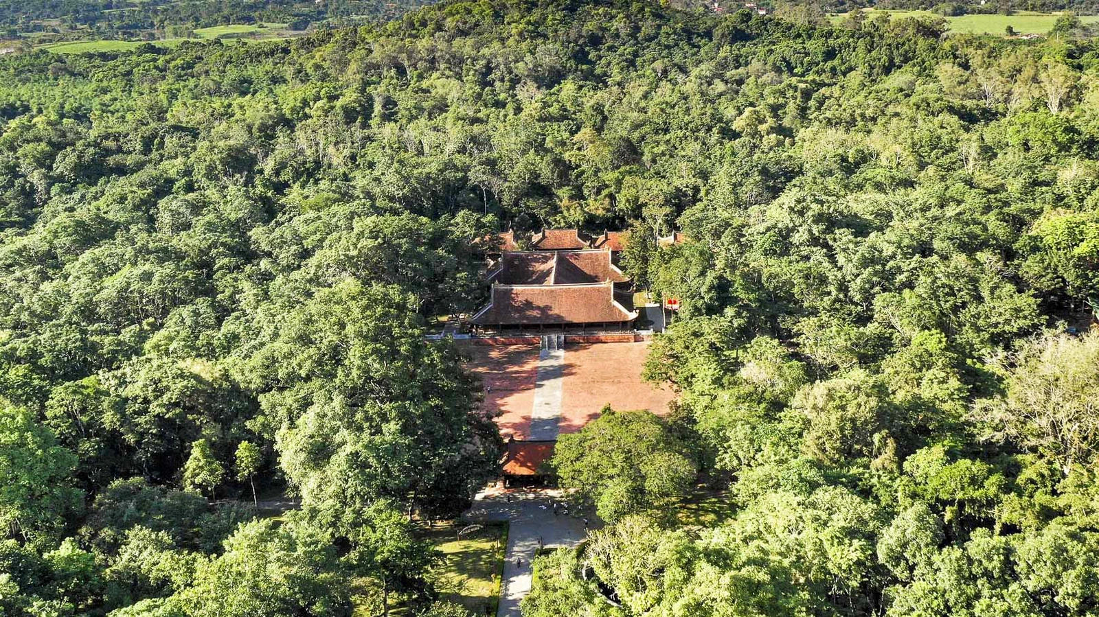 Chính điện Lam Kinh được thiết kế theo hình chữ “công”, gồm 3 tòa lớn, những công trình gỗ đồ sộ này dựng trên nền đất cao rộng, nổi bật với hàng cột cái vạm vỡ, đường kính tới 62cm, tỏa hương mộc trầm ấm.