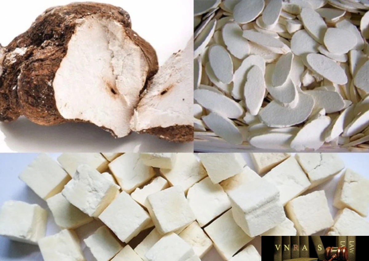 Không mua bán, sử dụng lô vị thuốc cổ truyền Bạch linh vi phạm tiêu chuẩn chất lượng