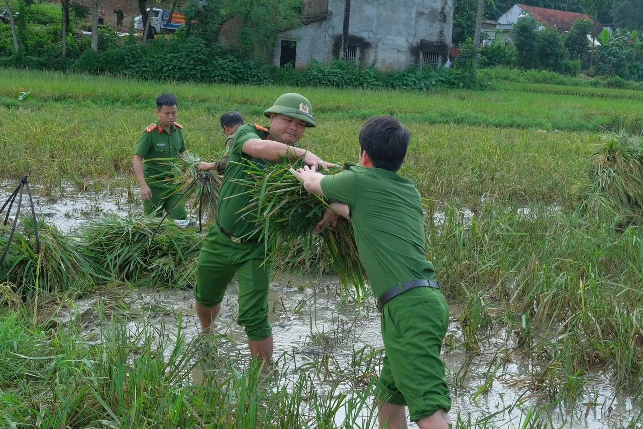 Dồn lực ứng phó bão