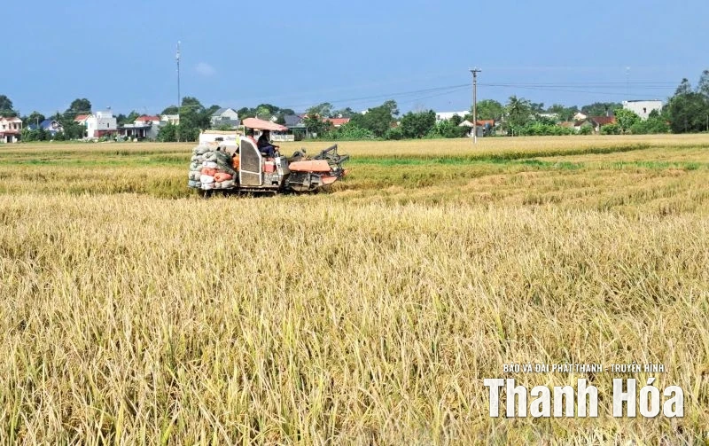 Dồn lực ứng phó bão