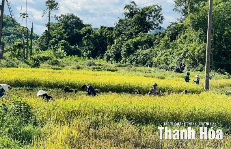 Dồn lực ứng phó bão