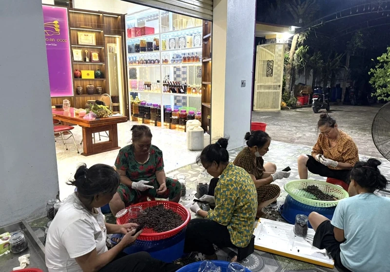 Từ sim rừng đến thương hiệu bản sắc