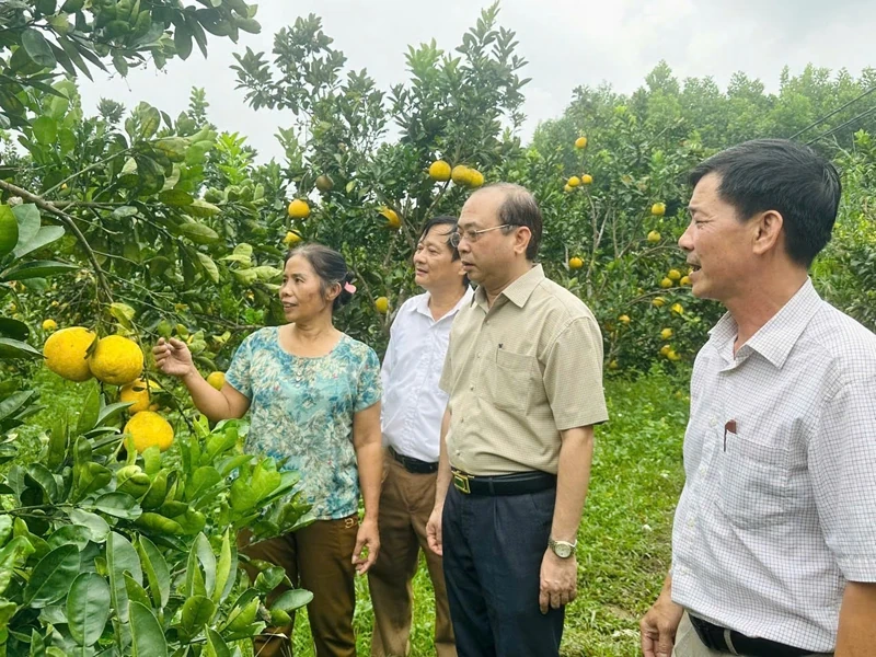 Kỷ niệm 95 năm Ngày thành lập Hội Nông dân Việt Nam (14/10/1930 - 14/10/2025): “Người chèo lái” ở tuyến đầu của tam nông