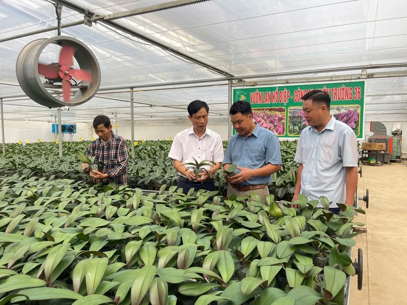 Kỷ niệm 95 năm Ngày thành lập Hội Nông dân Việt Nam (14/10/1930 - 14/10/2025): “Người chèo lái” ở tuyến đầu của tam nông