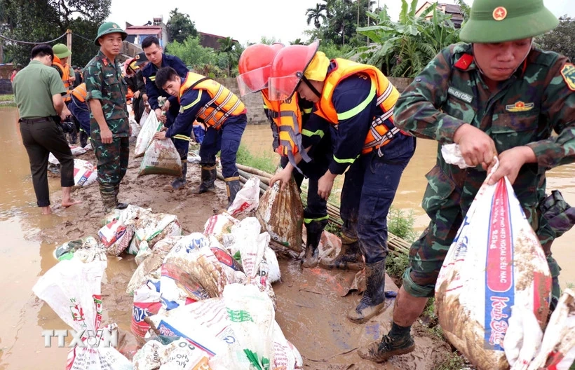 Giữ vững đê điều trong thiên tai kép