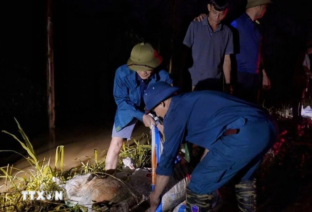 Giữ vững đê điều trong thiên tai kép