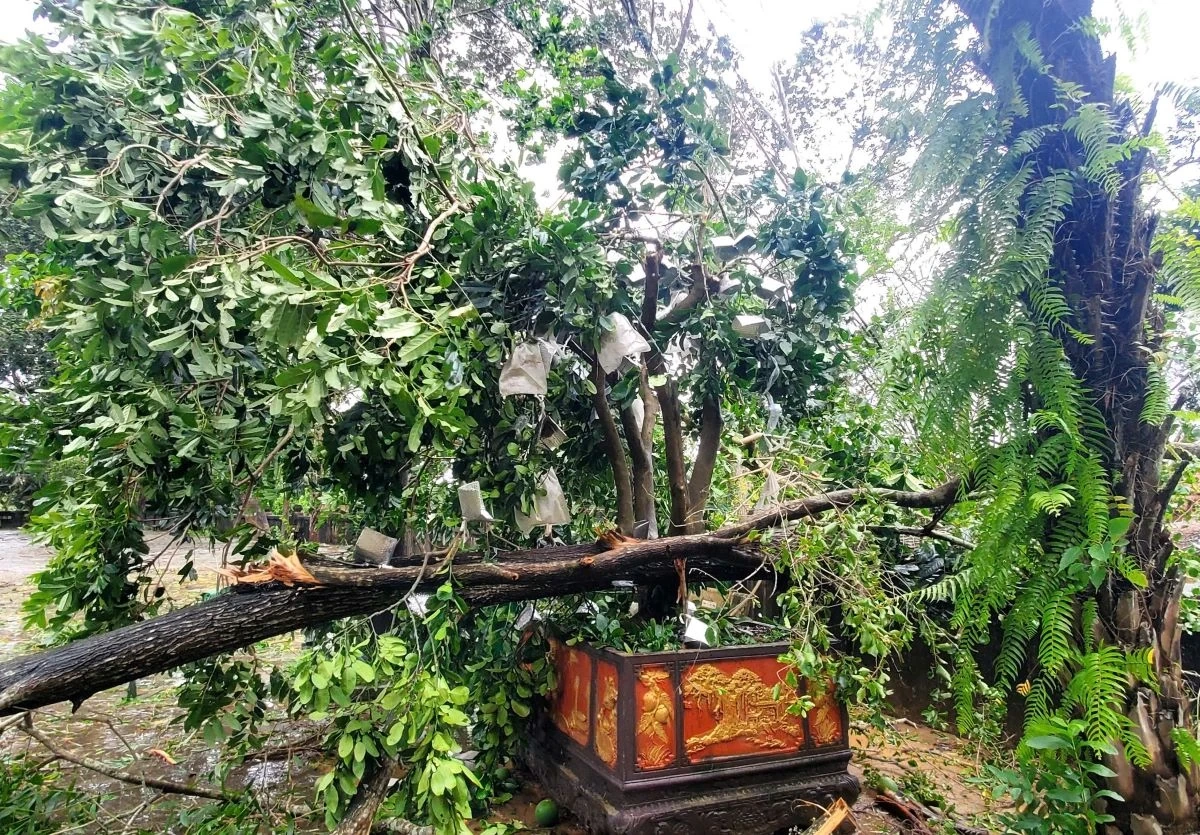 Khu di tích Quốc gia đặc biệt Đền Bà Triệu khẩn trương khắc phục hậu quả do mưa bão để đón khách trở lại