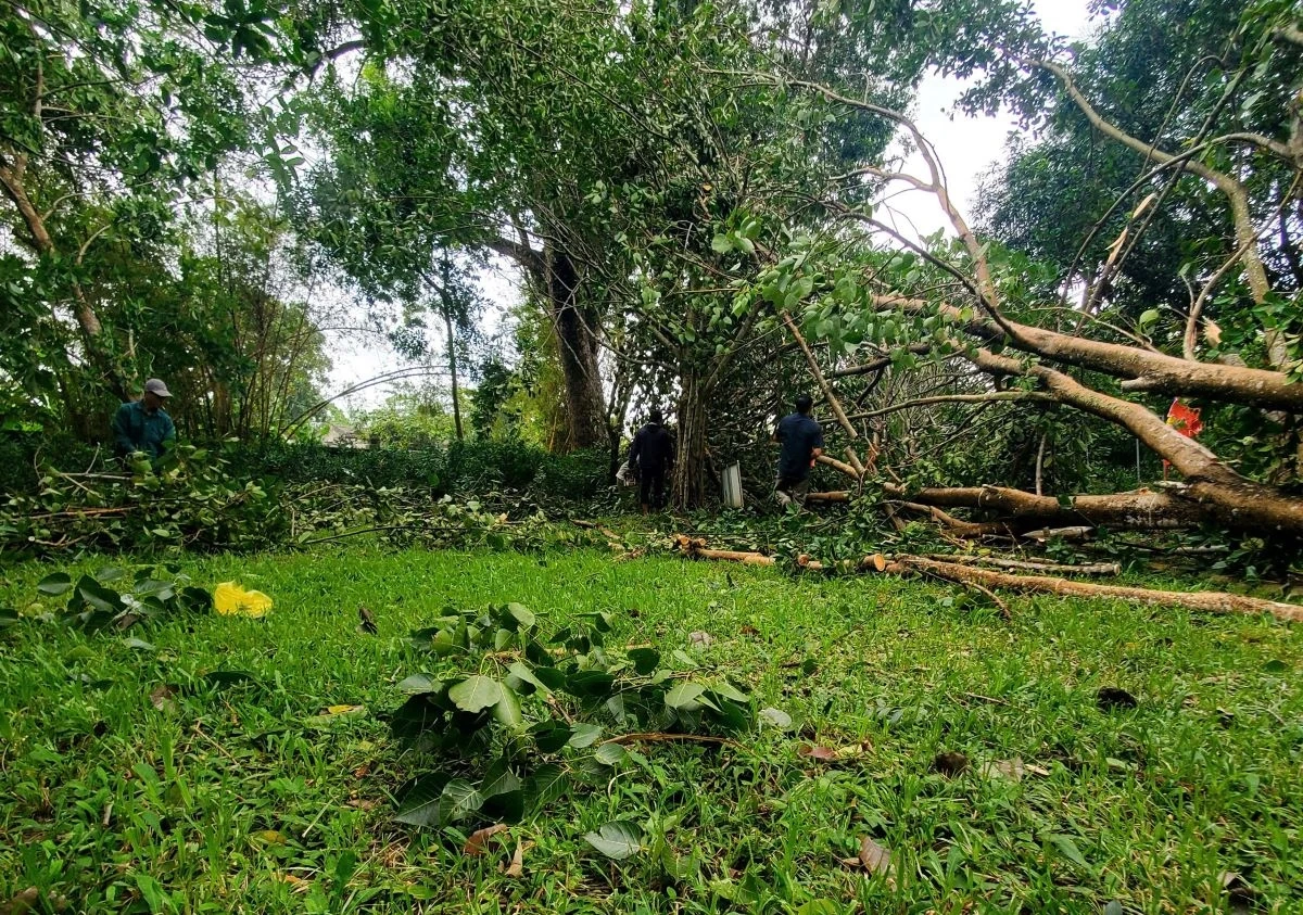 Khu di tích Quốc gia đặc biệt Đền Bà Triệu khẩn trương khắc phục hậu quả do mưa bão để đón khách trở lại