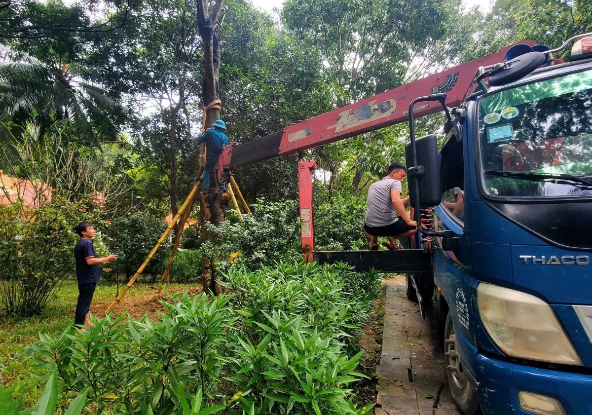 Khu di tích Quốc gia đặc biệt Đền Bà Triệu khẩn trương khắc phục hậu quả do mưa bão để đón khách trở lại