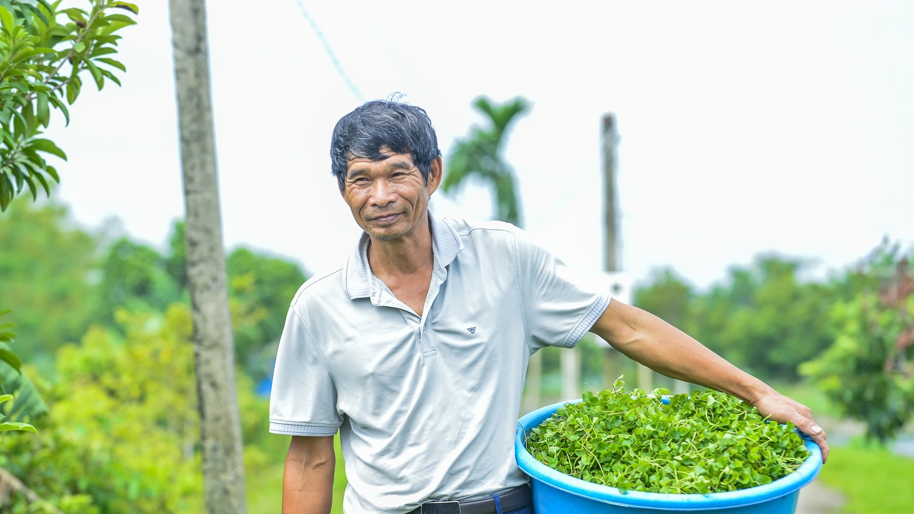 Tôi tên là Lê Viết Ngọc (55 tuổi), Giám đốc Hợp tác xã cây trồng và vật nuôi Đồng Ngâu, xã Thọ Long, Thanh Hóa. Tôi sinh ra và lớn lên ở xã Thọ Long, một vùng quê nghèo. Tuổi thơ của tôi gắn liền với những buổi đói lòng và những đĩa rau má luộc xanh thẫm.