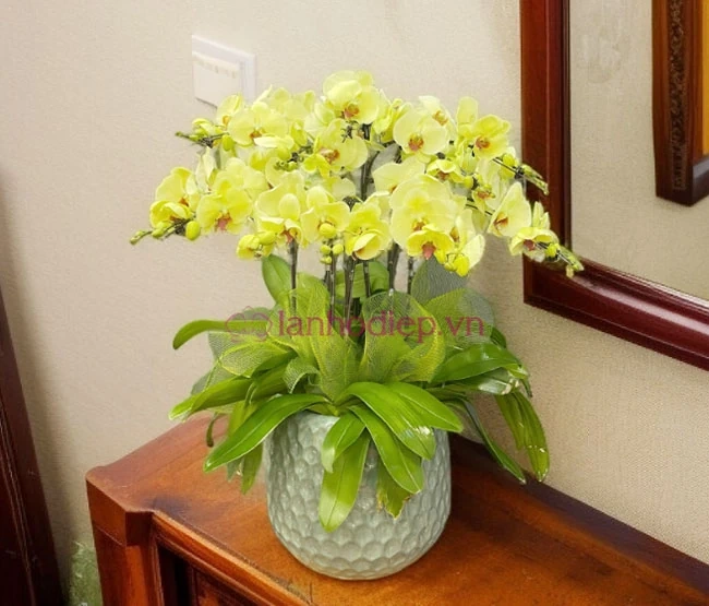 Quà tặng Phụ nữ Việt Nam 20/10 - Gửi gắm lời chúc ý nghĩa