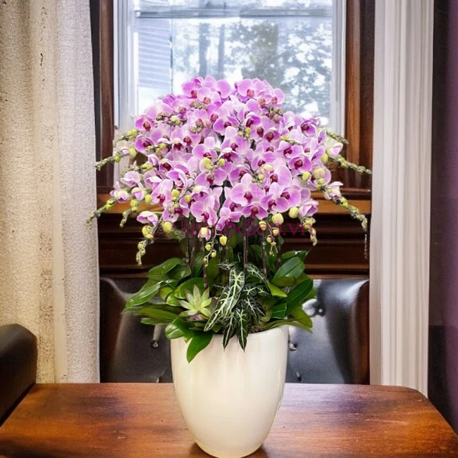 Quà tặng Phụ nữ Việt Nam 20/10 - Gửi gắm lời chúc ý nghĩa