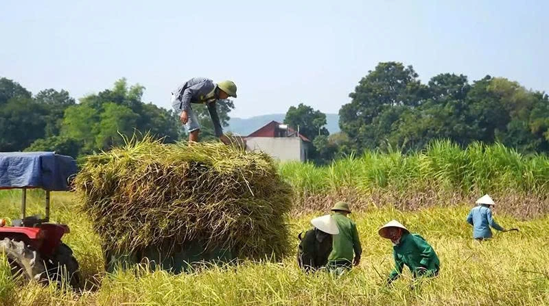 Nông nghiệp công nghệ cao: Từ đồng ruộng đến chuỗi giá trị số