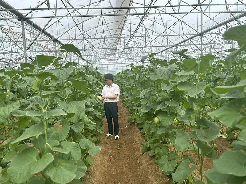 Đầu tư nguồn vốn góp phần xây dựng nông thôn mới