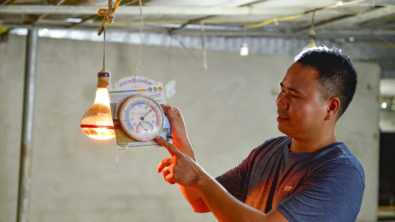 Độ ẩm cũng quan trọng không kém. Dúi ưa khô ráo, nếu chuồng ẩm, chúng dễ nhiễm bệnh đường hô hấp. Tôi luôn đảm bảo độ ẩm dưới 70%, thường xuyên thay chất lót và dọn dẹp sạch sẽ. Chỉ khi chuồng ổn định, dúi mới chịu ăn, chịu đẻ và phát triển tốt.