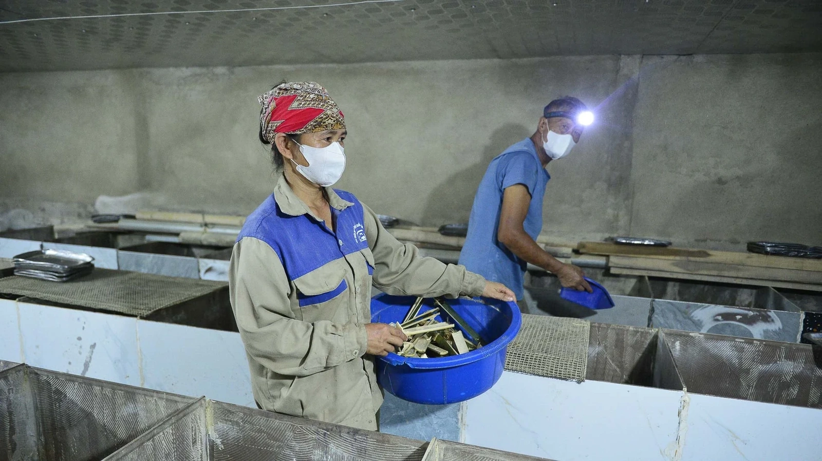 Giờ đây, các trang trại của tôi không chỉ mang lại nguồn thu ổn định mà còn tạo việc làm cho 5 lao động lớn tuổi trong xã, là những người tên 50 tuổi từng chỉ trông vào vài sào ruộng.