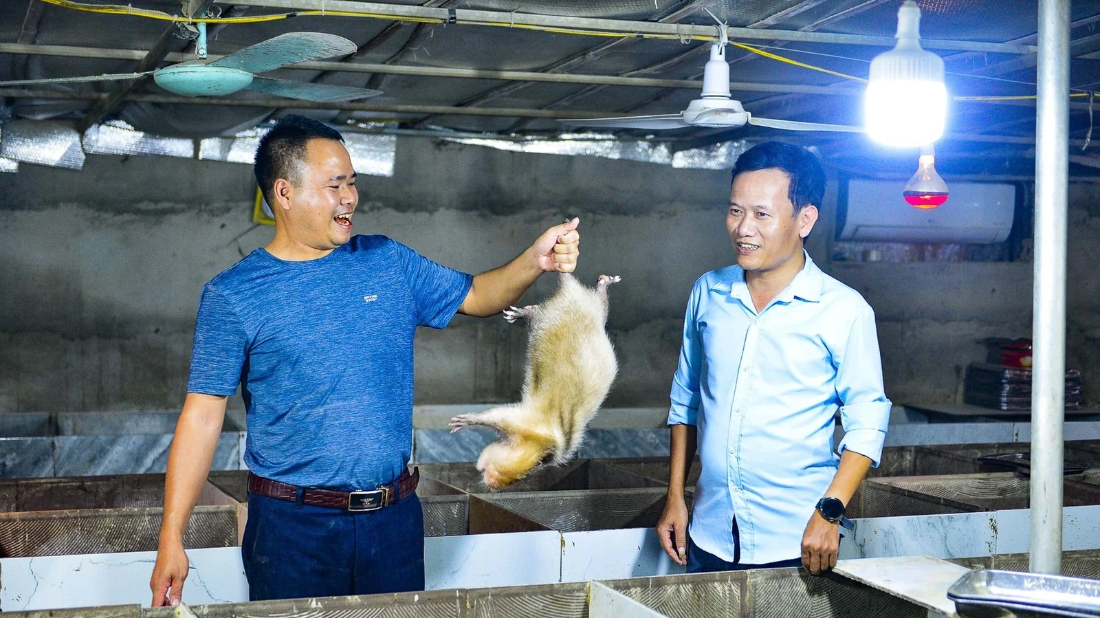 Ông Mai Văn Tuân, chuyên viên Phòng Kinh tế xã Tân Ninh cho biết: Mô hình của anh Lâm là điểm sáng trong phong trào thanh niên lập nghiệp. Anh năng động, sáng tạo và biết ứng dụng công nghệ. Chính quyền đang hỗ trợ anh mở rộng quy mô, xây dựng thương hiệu chăn nuôi sạch.