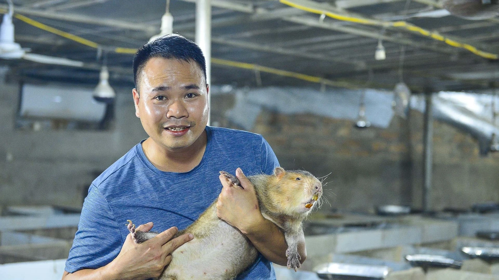 Mỗi sáng, nghe tiếng dúi gặm mía, tre rào rạo, tôi thấy lòng nhẹ nhõm. Đó là âm thanh của lao động, của kiên định và của một giấc mơ đã thành hình. Giờ tôi vẫn gọi mình là “kỹ sư”, nhưng là kỹ sư của chính giấc mơ khởi nghiệp. Tôi không xây cầu hay đổ bê tông nữa mà xây nên con đường của chính mình ngay trên mảnh đất quê hương.