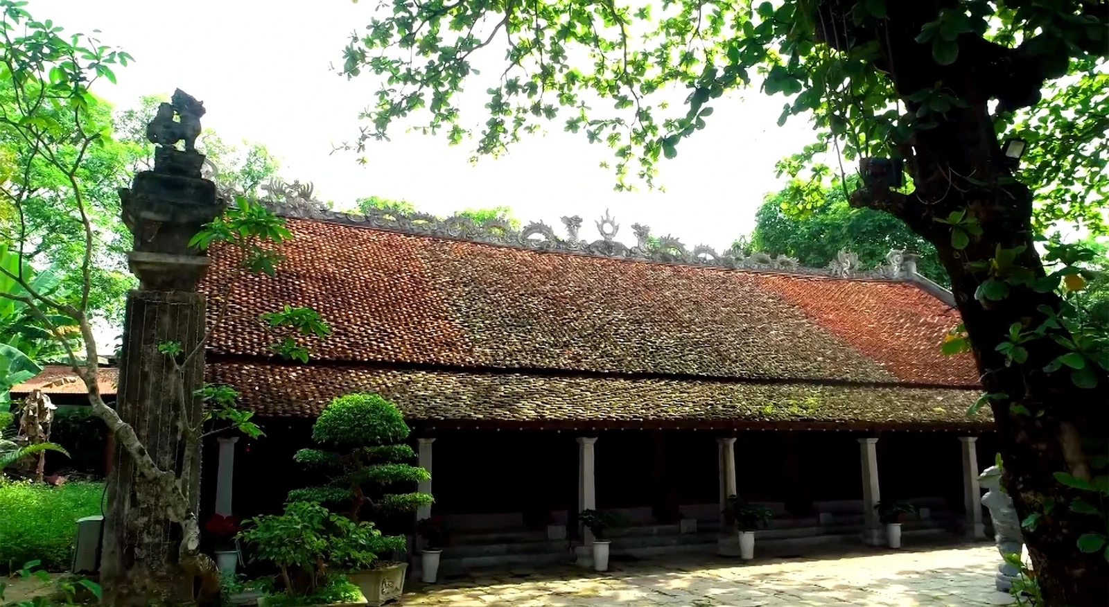 Theo sử sách, năm 1805, vua Gia Long cho dời Thái miếu nhà Hậu Lê từ Thăng Long về đất Bố Vệ, Thanh Hóa.