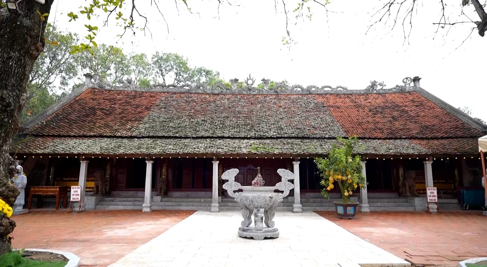 Công trình được dựng trên nền điện Chiêu Hòa, vốn là nơi thờ Hoàng Thái hậu Nguyễn Thị Anh - vợ vua Lê Thái Tông. Với tâm niệm “giữ việc thờ cúng nhà Lê là trọng điểm của triều đình”, vua Gia Long không chỉ dựng lại Thái miếu mà còn giao cho Diên tự công Lê Duy Viện cùng trăm hộ dân xã Bố Vệ phụ trách việc hương khói.