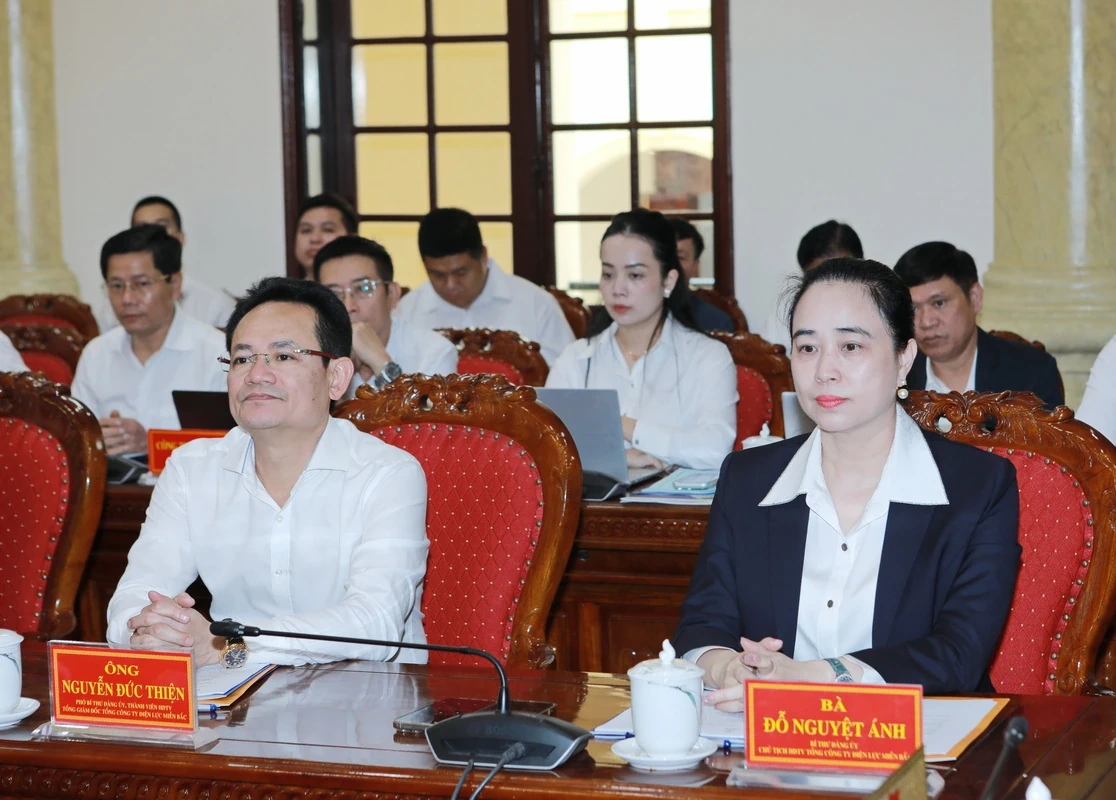 Thường trực Tỉnh ủy Thanh Hóa làm việc với Tổng Công ty Điện lực miền Bắc