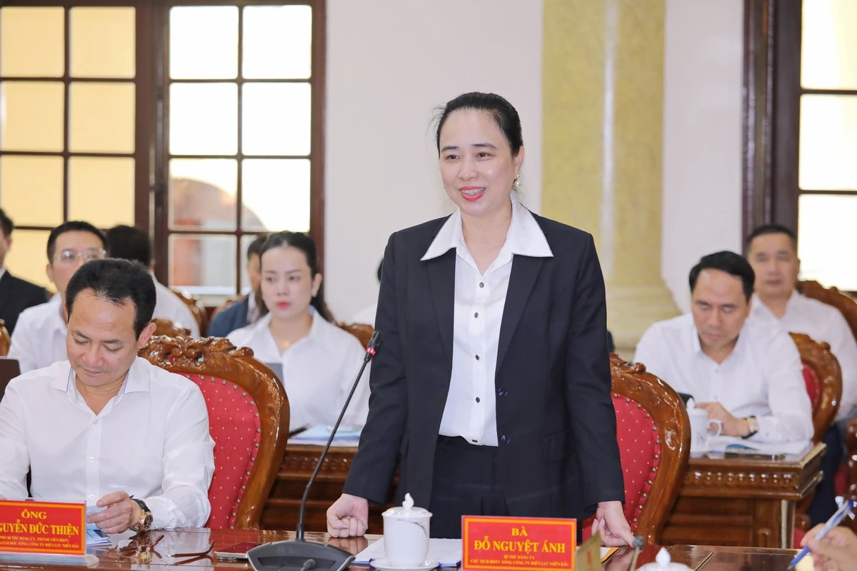 Thường trực Tỉnh ủy Thanh Hóa làm việc với Tổng Công ty Điện lực miền Bắc
