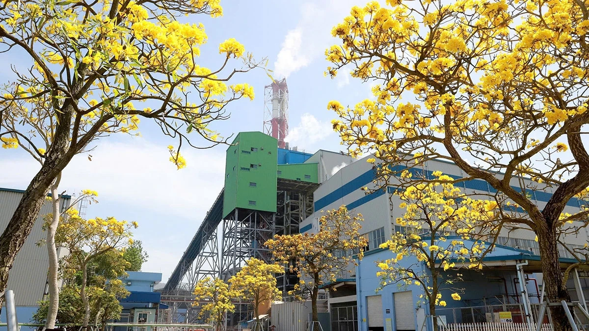 Nhiệt điện Nghi Sơn bảo đảm cung ứng điện an toàn, ổn định cuối năm 2025 và giai đoạn 2026-2030