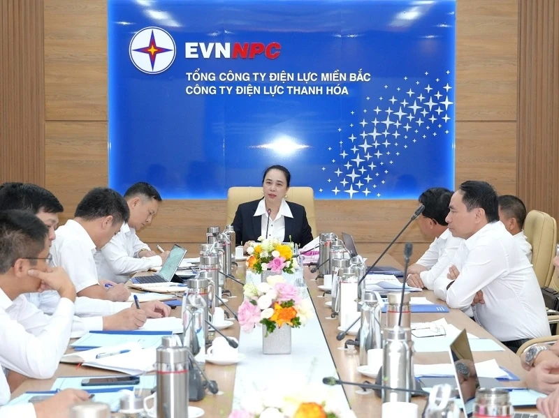 Chủ tịch HĐTV EVNNPC Đỗ Nguyệt Ánh làm việc với Công ty Điện lực Thanh Hóa