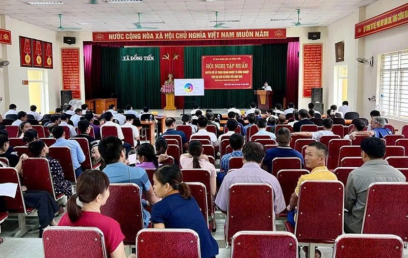 Đẩy mạnh chuyển đổi số và đổi mới sáng tạo trong doanh nghiệp