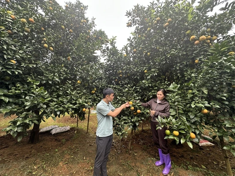 Điền Lư đưa nghị quyết đại hội Đảng vào cuộc sống