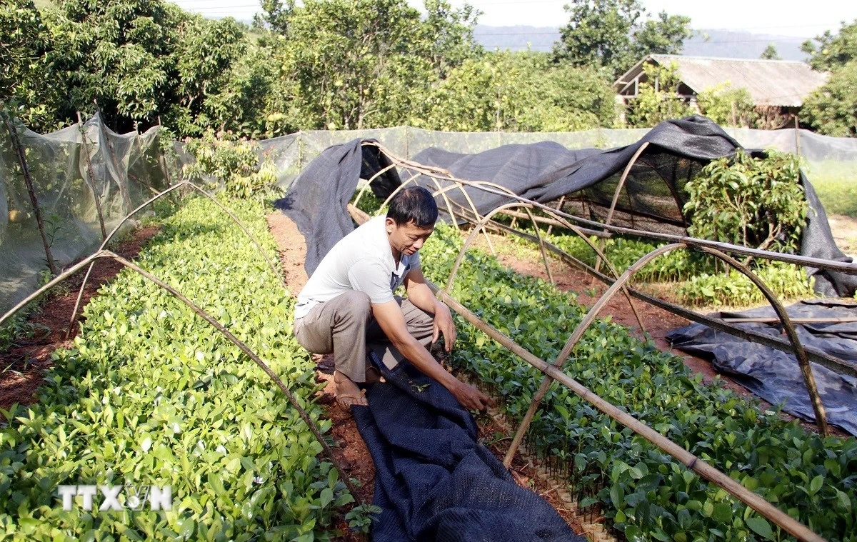 Kéo dài thời hạn miễn thuế sử dụng đất nông nghiệp đến hết năm 2030