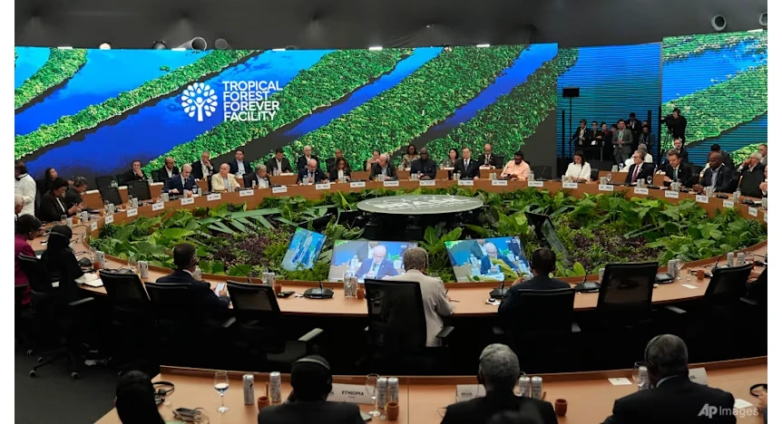 COP30: Tổng thống Brazil kêu gọi giảm nhiên liệu hóa thạch, Đức cam kết hỗ trợ quỹ bảo vệ rừng nhiệt đới
