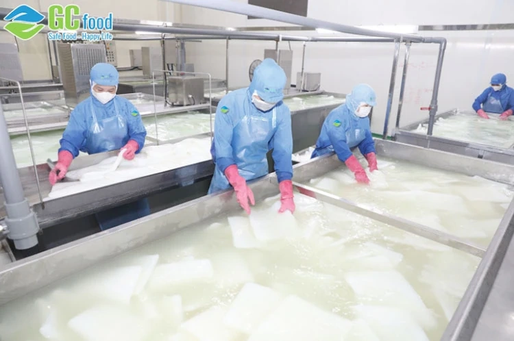 Cách làm thạch dừa đơn giản và gợi ý địa chỉ mua thạch dừa giá tốt