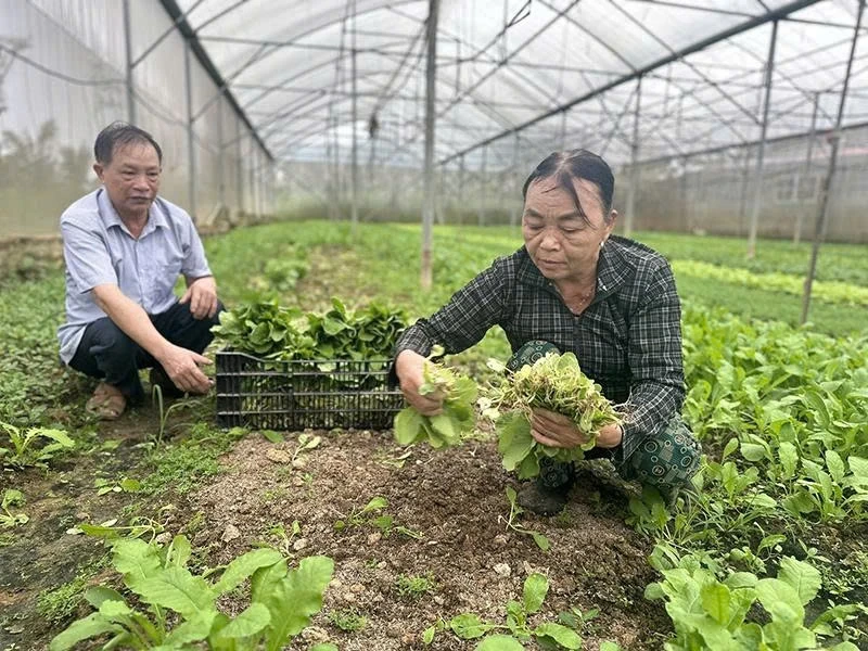 Điểm tựa giúp nông dân có vốn sản xuất, phát triển kinh tế