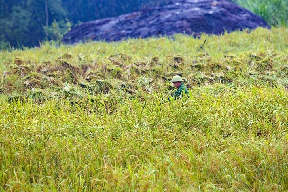 Pù Luông trong sương: “Sa Pa xứ Thanh” mê hoặc lòng người