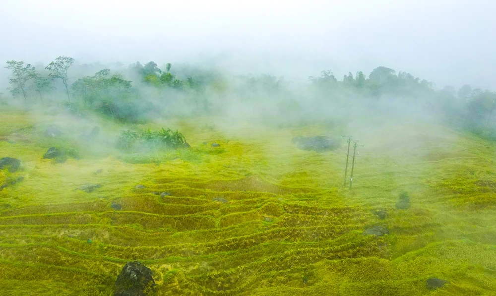 Pù Luông trong sương: “Sa Pa xứ Thanh” mê hoặc lòng người