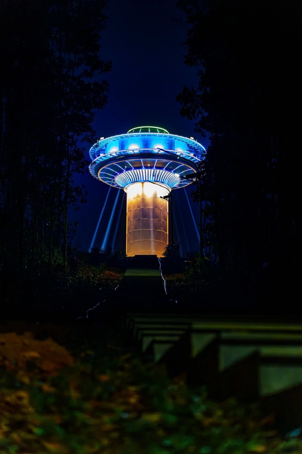 LAMORI by Night: Cuộc đối thoại giữa đại ngàn và vũ trụ