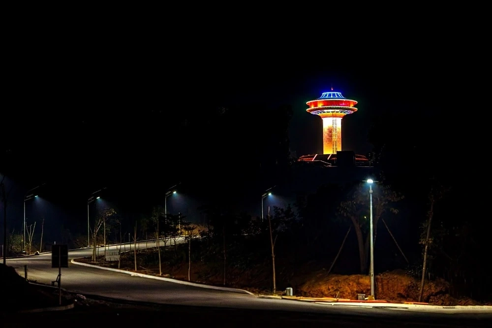 LAMORI by Night: Cuộc đối thoại giữa đại ngàn và vũ trụ