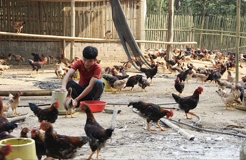 Bảo đảm nguồn cung thực phẩm dịp cuối năm