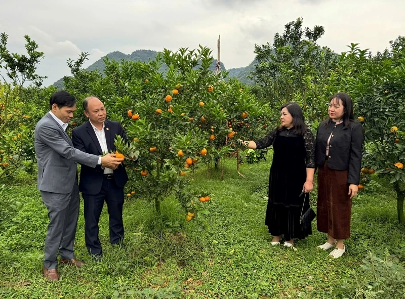 Tổng kết hoạt động cụm thi đua số 8 Ủy ban MTTQ tỉnh