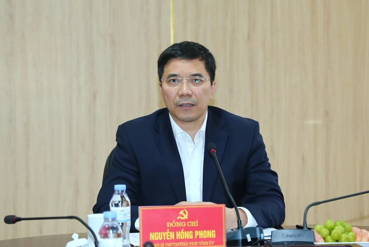 Phó Bí thư Thường trực Tỉnh ủy Nguyễn Hồng Phong thăm, làm việc tại xã Thăng Bình